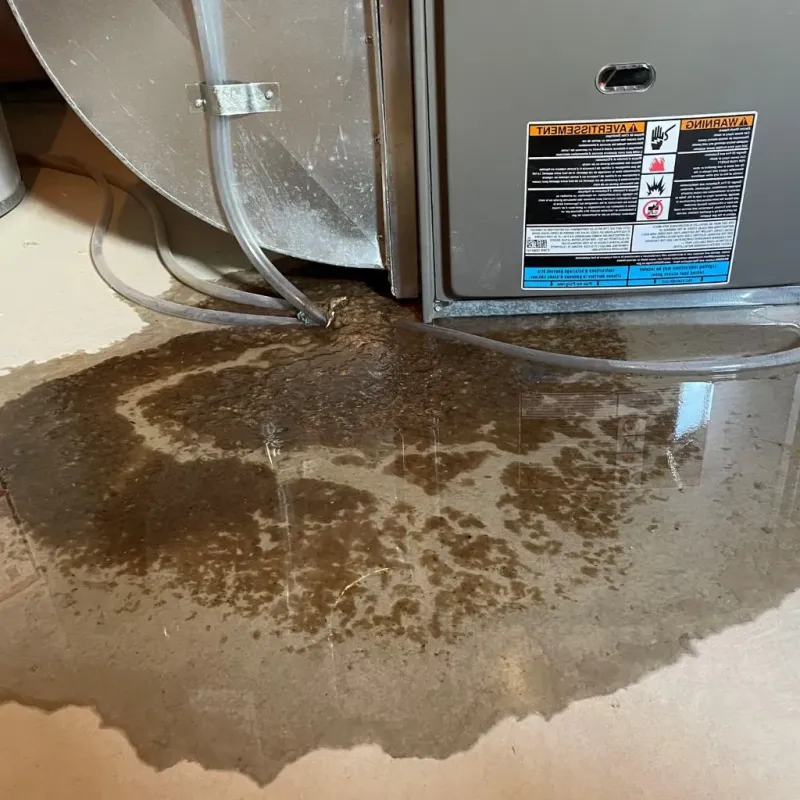 Pipe Burst and Leak Restoration in Hooper, UT
