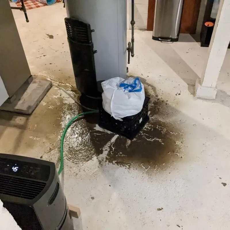 Sewage Backup Cleanup Service in Hooper, UT